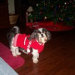 Gloria Moran Smith