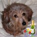 Birgit