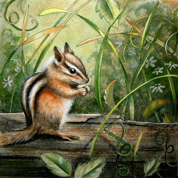 Original Colored Pencil Art Chipmunk Woodland Animal Framed