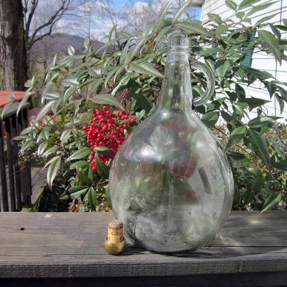 Vintage Glass Wine Jug Terrarium