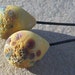 Droplet Earth Stones-Sahara- Handmade lampwork glass headpins- tear drop in matte golden yellow with stone texture- one pair