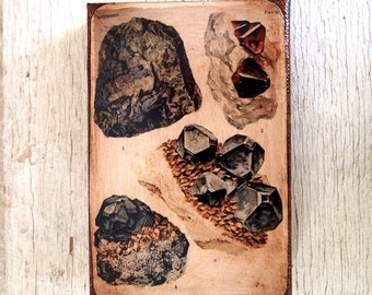 Vintage Rock & Minerals Specimens -Collection A 4x6