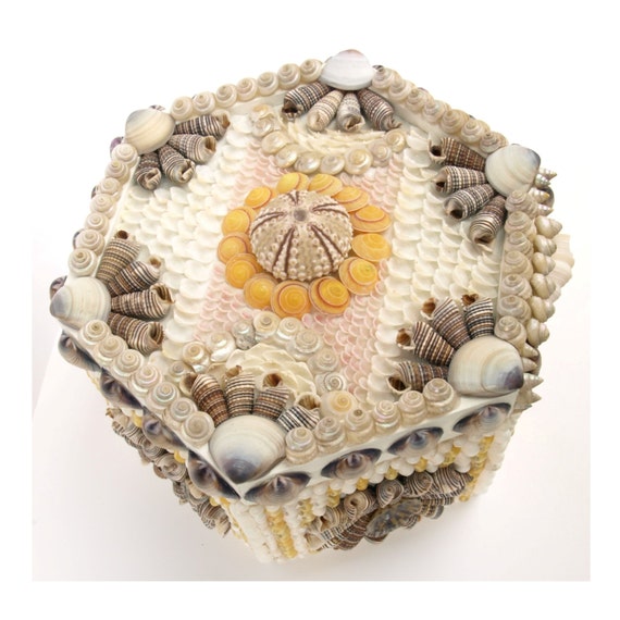 Seashell Box Vintage Shells Sailors Valentine Style Shell Box