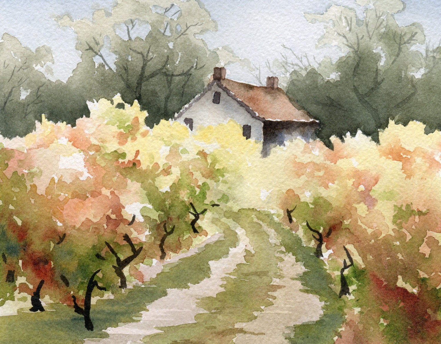 VINEYARD Original Watercolor Painting by Artist DJ Rogers