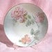 Pink Roses Handpainted China Plate