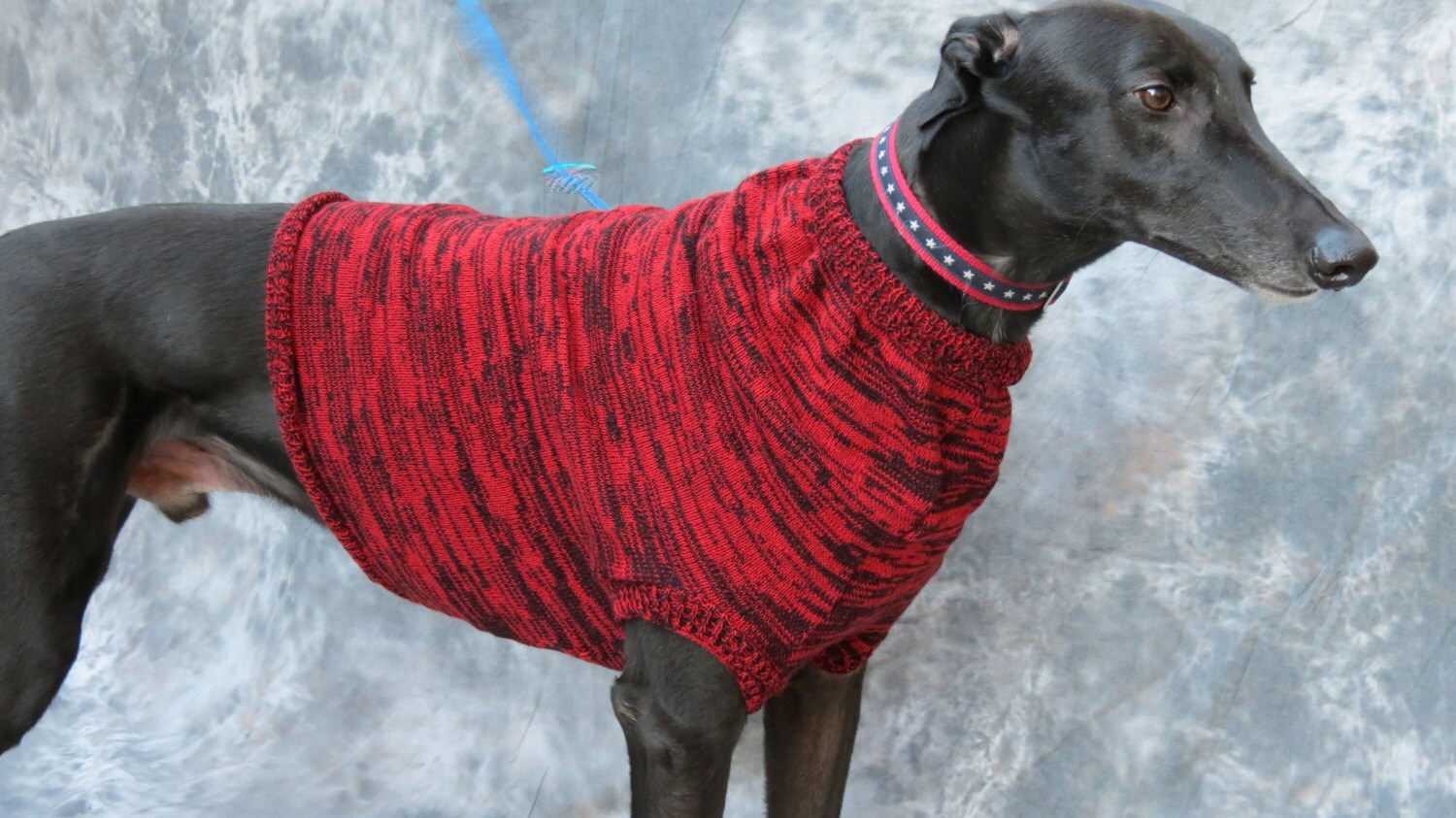 Greyhound Sweater vest red/black brindle large