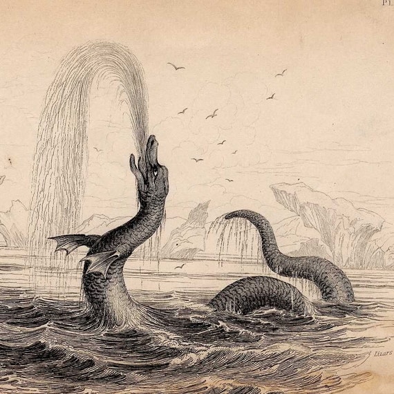 1838 sea serpent original monster antique print