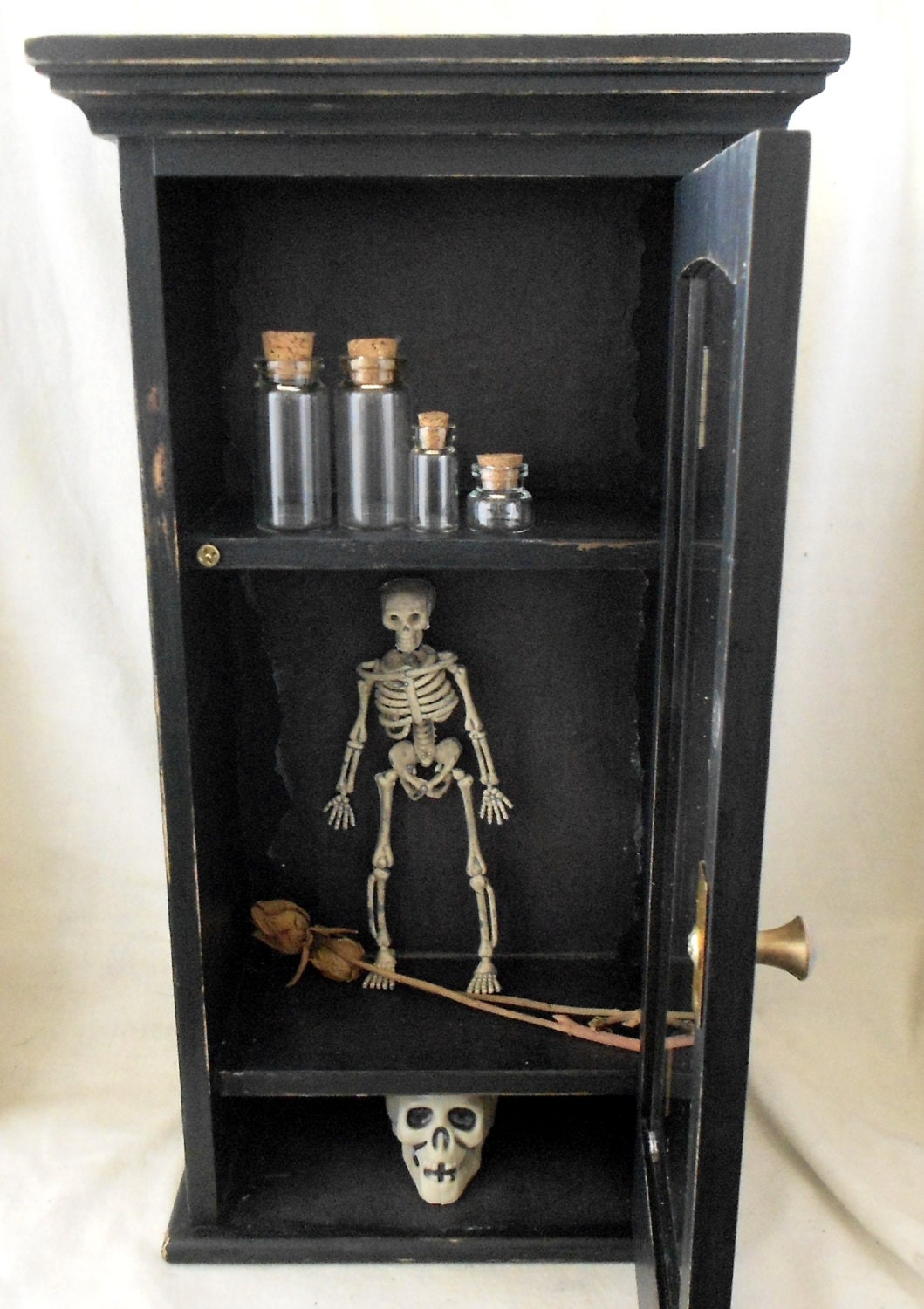 Gothic Home Decor Gothic Curio Apothecary