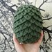 game of thrones dragon egg plush
