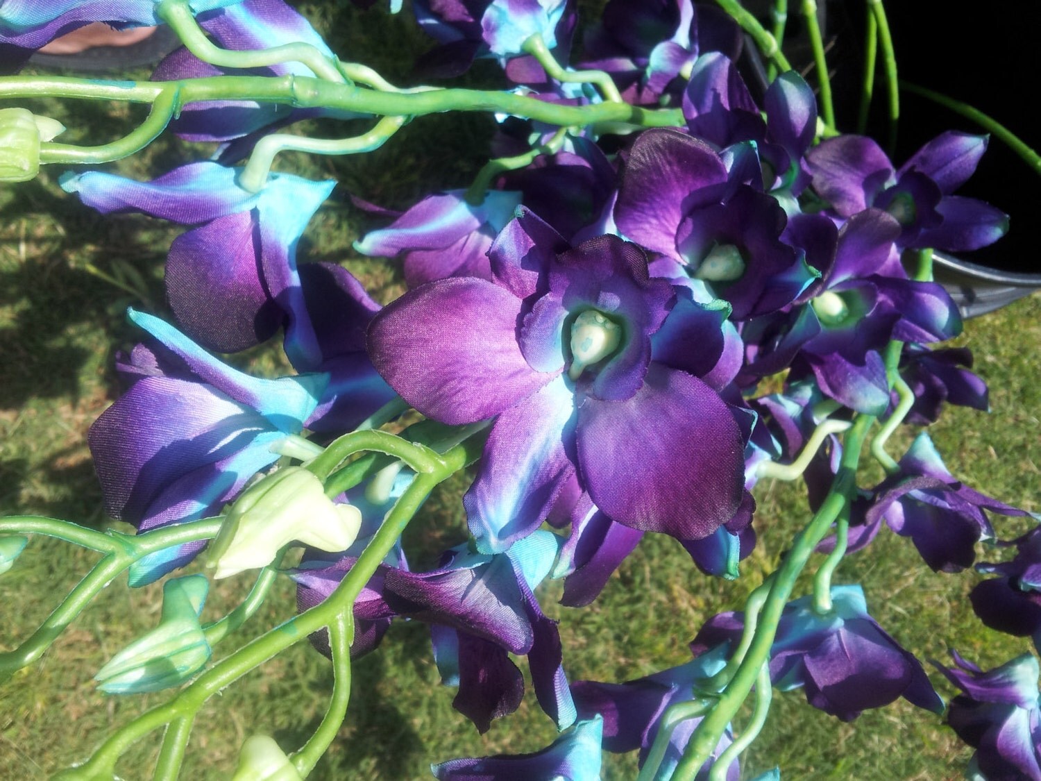 Silk Blue Dendrobium Orchid Stems 5760