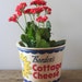 Vintage Borden's Cottage Cheese Tub from 1950's
