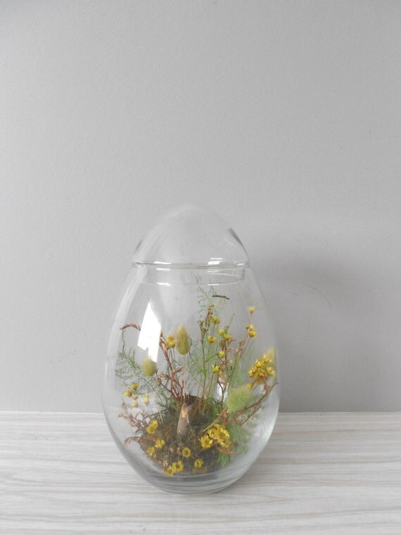 RESERVED // LARGE egg shaped glass jar terrarium with
