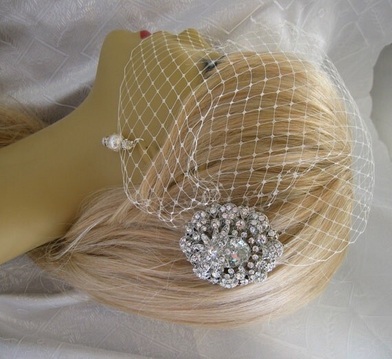 Birdcage Veil And A Bridal Hair Comb 2 Items By IreneJewelry