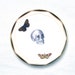 Skull, Butterfly & Moth Vintage China Tea Plate for wall art decorative display