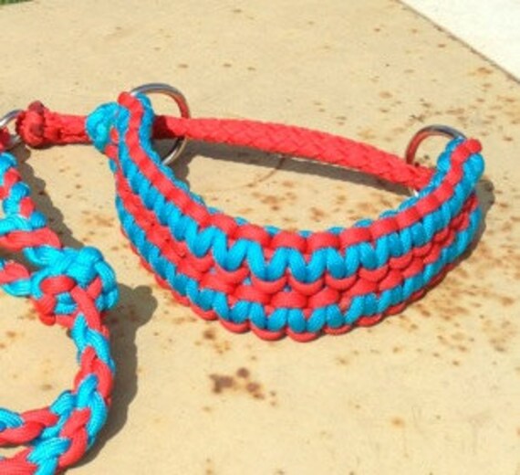 Agility Paracord Dog Collar/Leash Combo by EpicCustomCreations