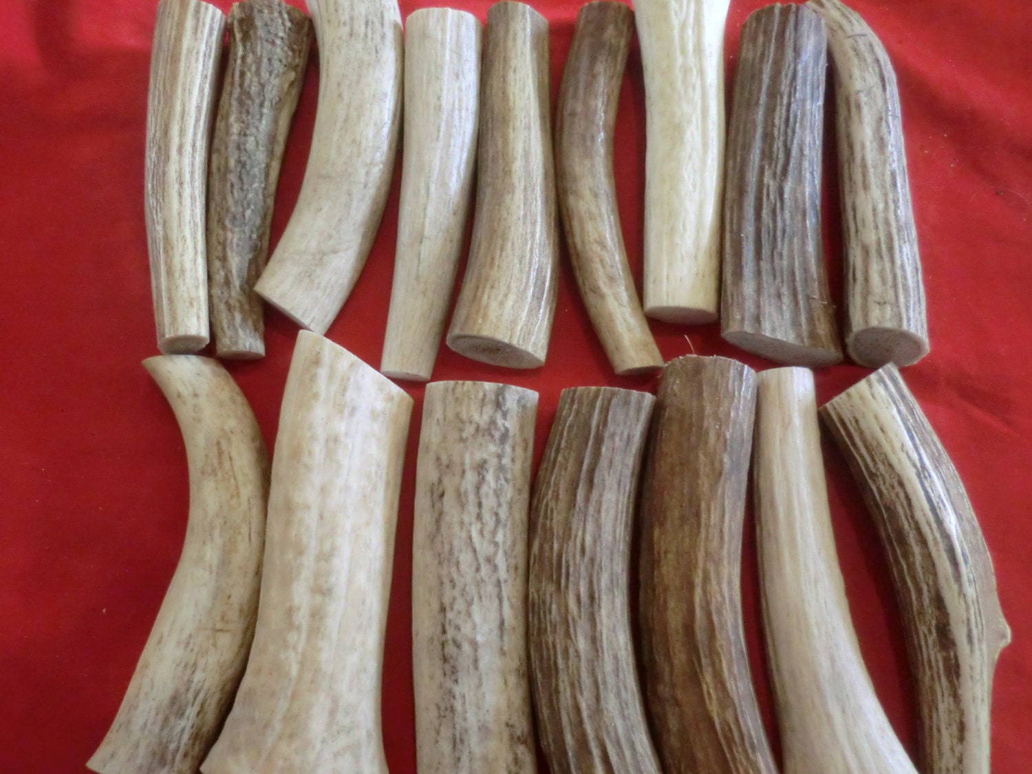 elk antler dog chews real antler dogs just love these chews