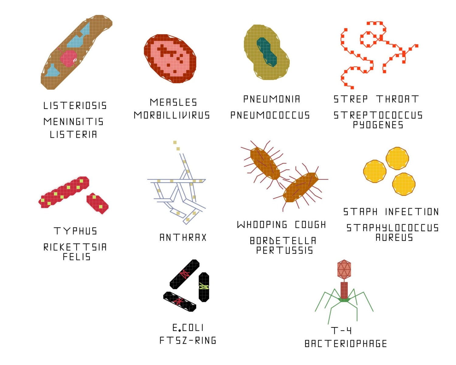 Cross Stitch Pattern Common Microbes set 3