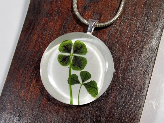 Real Four-Leaf Clover Necklace leaf jewelry clover