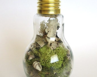 Popular items for light bulb jar on Etsy