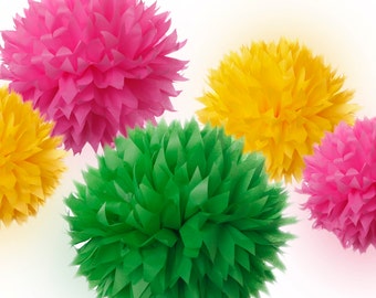 Tissue Paper Pom Poms Set of 20