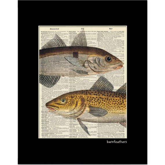 vintage-dictionary-art-print-fish-dictionary-page