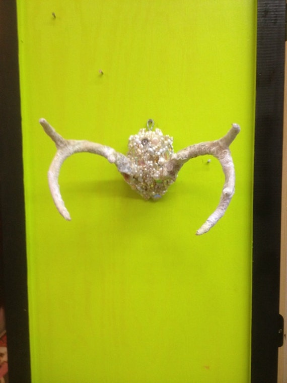 Shabby Chic Lace Covered Deer Skull with Antlers/Deer Wall