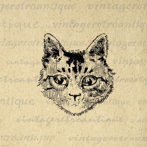 Items similar to Digital Cat Image Printable Kitten Illustration ...