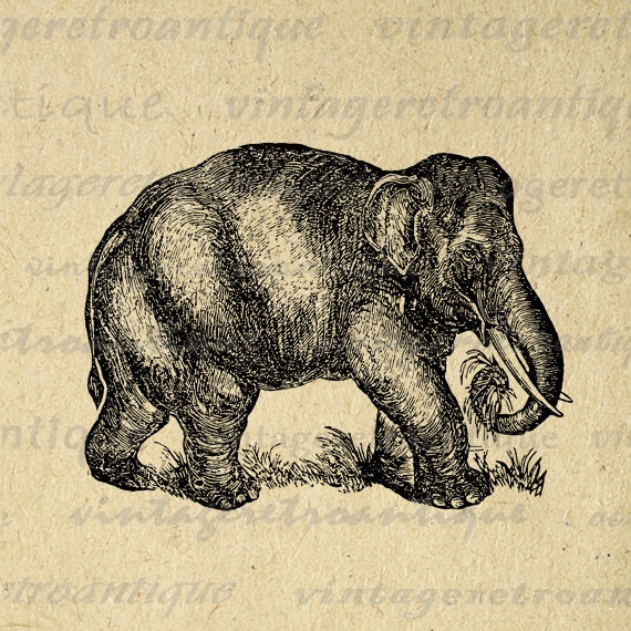 vintage elephant clip art - photo #26