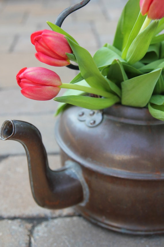 Upcycled Majestic 20 Oz Copper Tea Kettle Flower Pot Planter