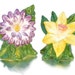 Fitz & Floyd Spring Flowers Salt and Pepper Shaker set, NIB, Spring Flowers Salt and Pepper Shaker set