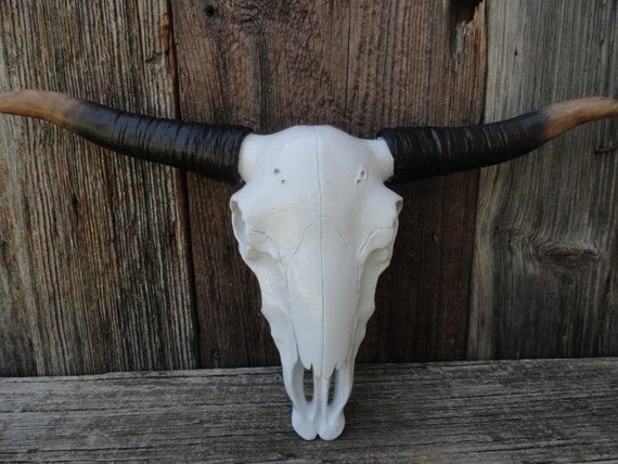 Longhorn Wall Decor