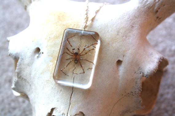 Real spider necklace