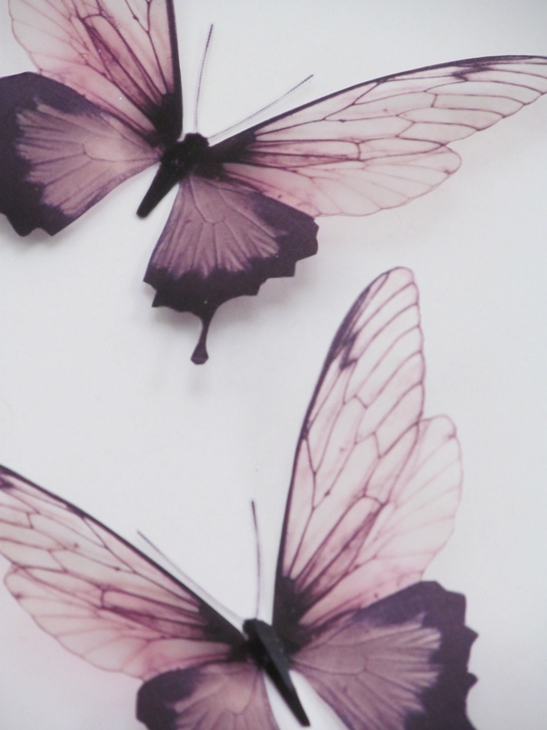 3 Luxury Amazing in Flight Butterflies  3D Butterfly  Wall Art