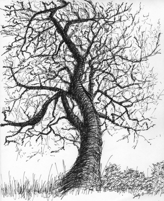 Black and white nature art print from pen & ink by Xipitipix