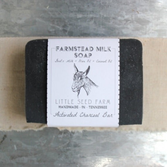 Activated Charcoal - Organic Facial and Body Soap - Detoxifying