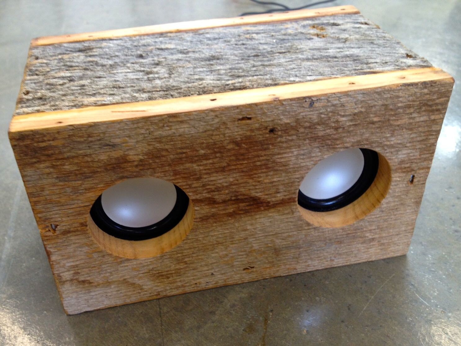 Custom Barn Wood Speaker Box Baby Owl
