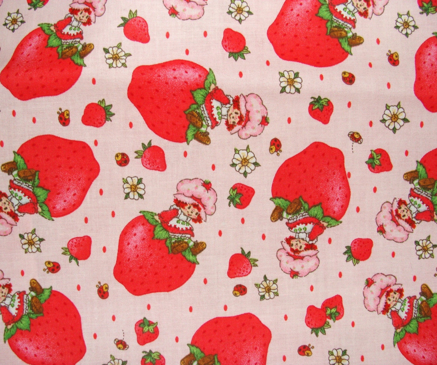 Strawberry Shortcake Fabric 1 yd