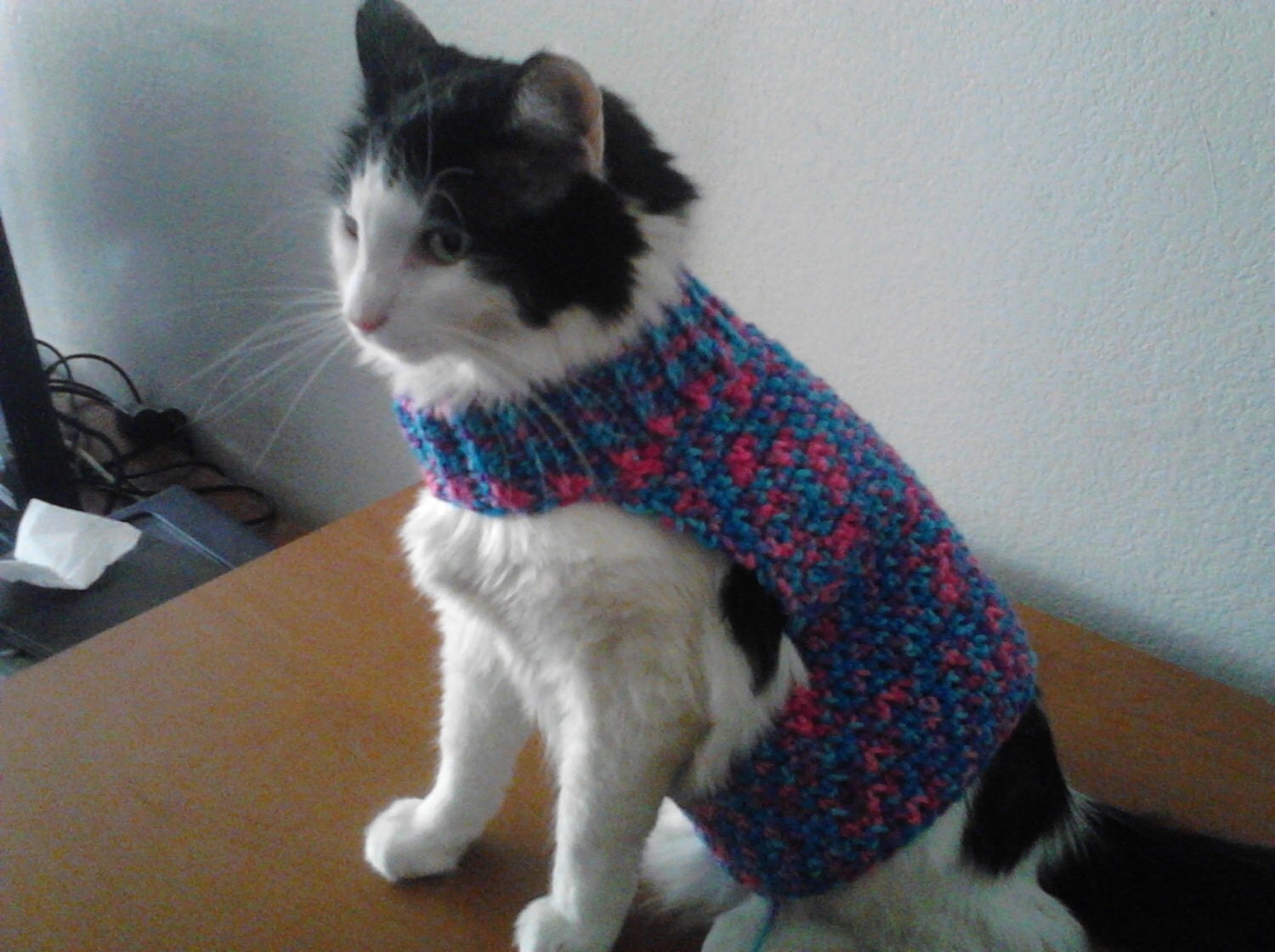 Crochet Cat Sweater Mock Turtleneck by ZeldasCuriosities ...