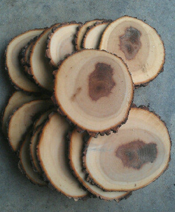 25 45 Rustic Wood Tree Slices Wedding Decor SOURWOOD