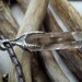 crystal quartz point and sterling silver claw or talon pendant necklaxe