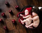 Newborn Wolf Hat - The Big Bad Wolf - Little Red Ridding Hood's Wolf - Crochet Hat - Photography Prop