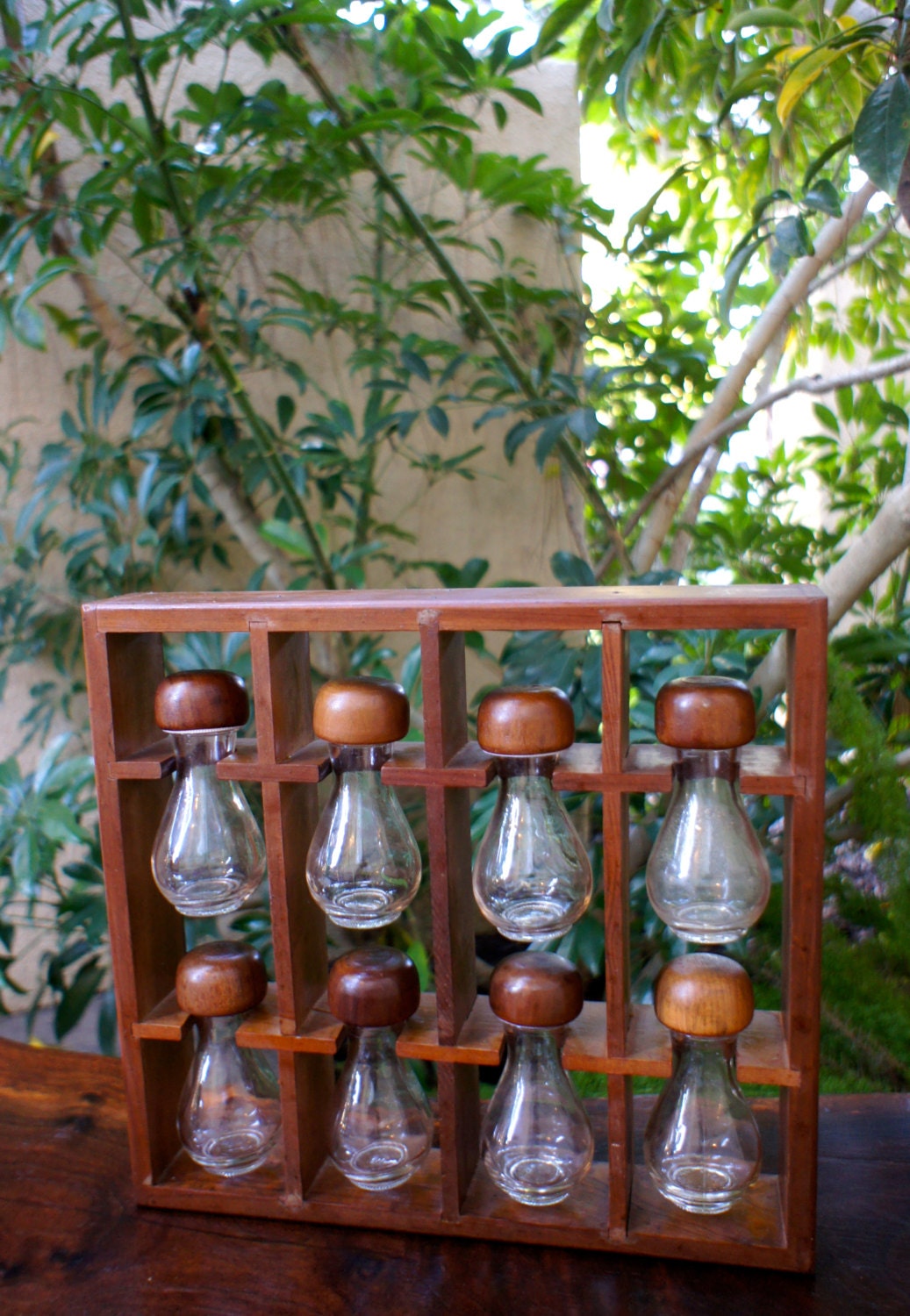 Unique Wooden Mid Century Modern Spice Rack Glass Spice Jars