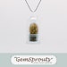 Holiday Sale - Real Living Tiny Texas Windowsill Cactus Plant Necklace with Ballchain