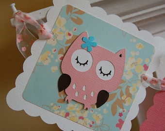 Owl Photo Banner, Owl 12 Month Banner, Owl 1st Birthday, Owl Theme, Owl Decorations, Hoot Hoot Pink Aqua