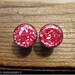 SALE Rose Mother of Pearl Plugs - 7/16, 1/2 Inch, 9/16, 5/8