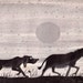 The Bremen Town Musicians from the collection of the Brothers Grimm, illustrated by Paul Galdone