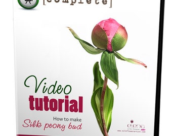 Video tutorial How artistically use professional flower making