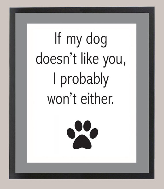 If my dog doesn't like you I probably won't either 11