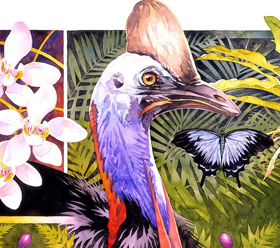 Australian Rainforest wildlife art poster print nature