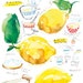 Kitchen art Lemon meringue pie recipe 8X10 print Food illustration French cake recipe Citrus Fruit Yellow kitchen decor